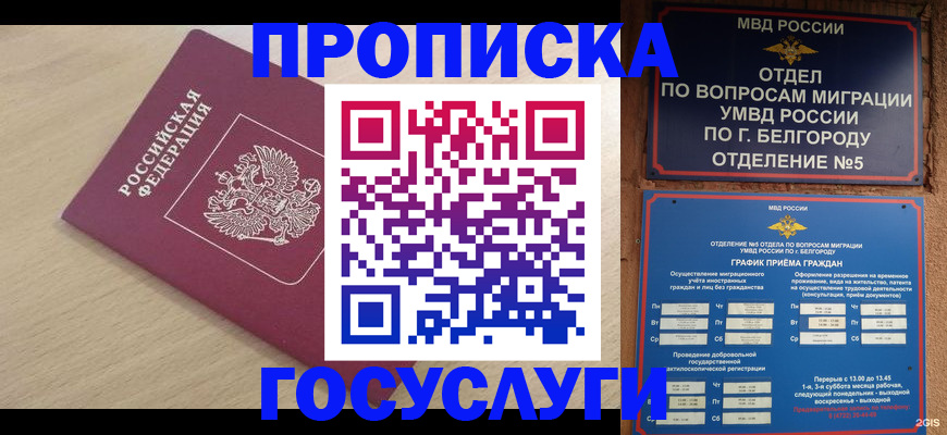 прописка законно в Коряжме
